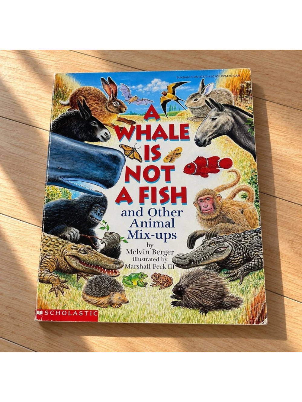 A Whale Is Not a Fish Melvin Berger 1996 Scholastic Animal Science Book